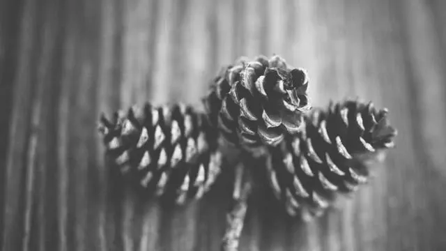 기대출과다자소액대출 시 주의해야 할 점과 리스크 이미지