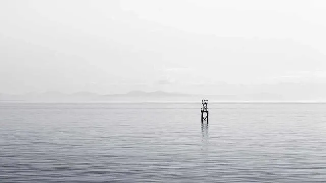 기대출과다자소액대출 후 재정 관리 방법 이미지