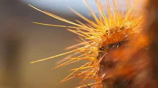 기대출과다자소액대출 시 유의해야 할 점과 위험 요소 이미지