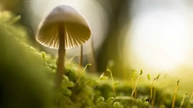 4. 집 살 때 담보대출 한도 산정 기준과 계산법 이미지