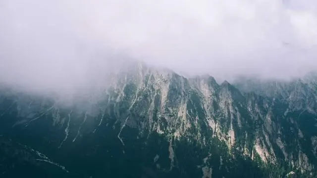 접종 신청 후에는 어떤 과정을 거치나요? 이미지