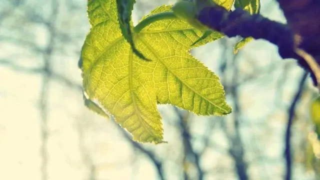 예방접종 신청 시 꼭 확인해야 할 주의사항 이미지