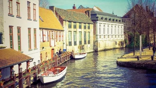 접종 신청 가능한 기간과 보성군 지원 예산 현황 이미지