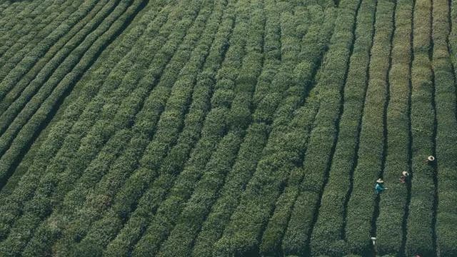 신청하실 때 꼭 기억해야 할 점과 주의사항 이미지