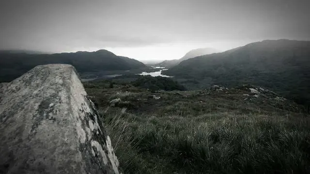 자주 묻는 질문 이미지