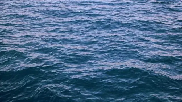 경찰공무원대출 신청 절차와 유의사항 이미지