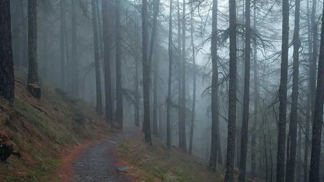 직장인월변대출 승인 과정과 소요 시간 이미지