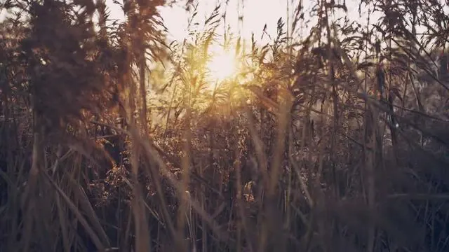 햇살론재대출 한도 및 금리 정보 이미지