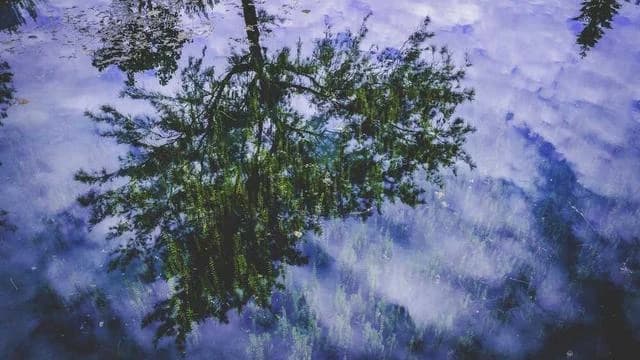 신청 후 심사부터 지원금 지급까지 어떤 과정이 진행되나요? 이미지