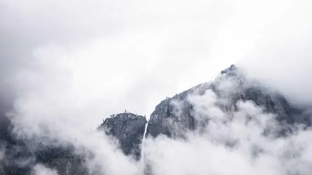 긴급돌봄서비스는 어떻게 신청하나요? 쉽고 빠른 신청 절차 안내 이미지