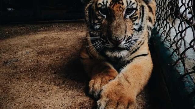 신청 이후에는 어떤 과정이 진행되고 지원금은 언제 받나요 이미지