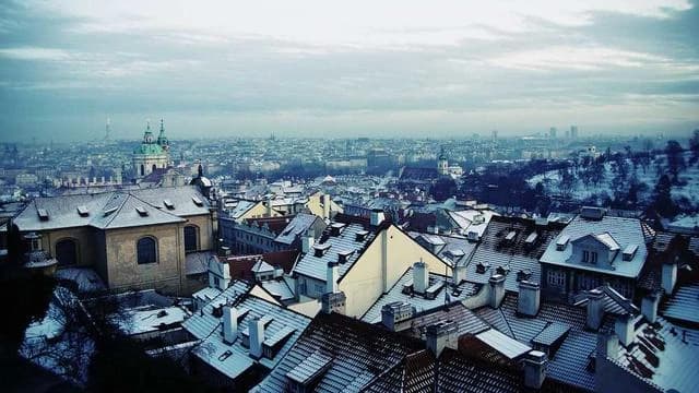 신청 후 어떤 절차가 진행되나요? 심사부터 장학금 지급까지 이미지