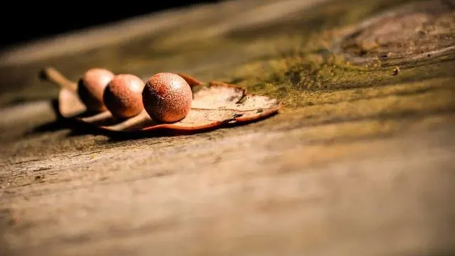 청소년 안전망 신청, 이렇게 하면 쉽고 빠르게 받을 수 있어요 이미지