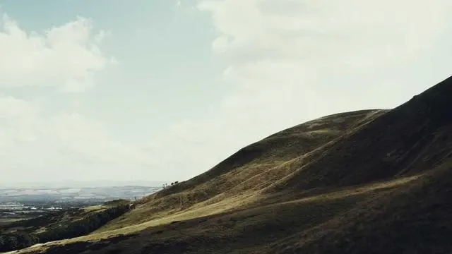 신청 후에는 어떤 절차가 진행되고, 어떻게 지원받을 수 있나요? 이미지