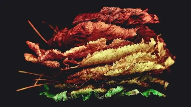 이용 신청 후 어떤 과정이 진행되며 돌봄은 어떻게 지원되나요? 이미지