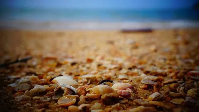 어렵지 않은 신청 절차와 꼭 챙겨야 할 준비 서류 안내 이미지