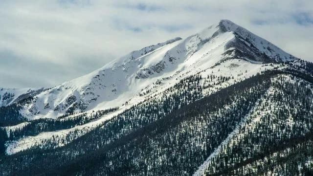 생활안정지원 신청 절차와 준비 서류, 어디서 어떻게 해야 하나요? 이미지