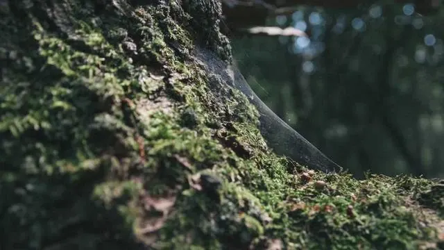 생활안정지원금 지급 이후 과정과 간병비 청구 방법은 어떻게 될까요? 이미지