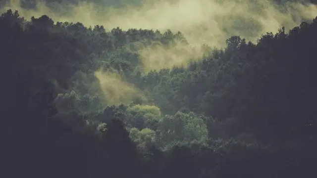 근로자안심대출 신청 절차 상세 이미지