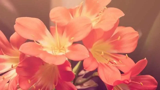 저축은행금리비교 시 유의해야 할 중도해지 및 세금 문제 이미지