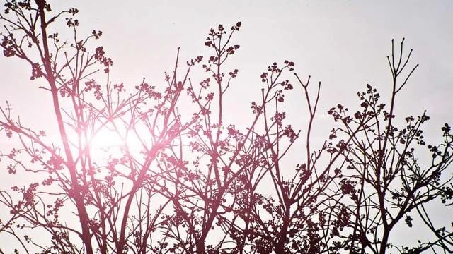저축은행금리비교로 찾는 고금리 예적금 상품 추천 이미지