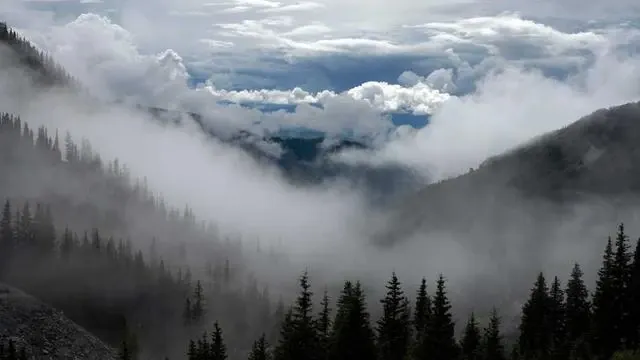 신청 후, 지원금은 언제 어떻게 받게 되나요? 이미지