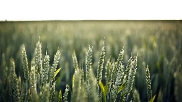 자주 묻는 질문으로 알아보는 한부모 아동양육비 이미지