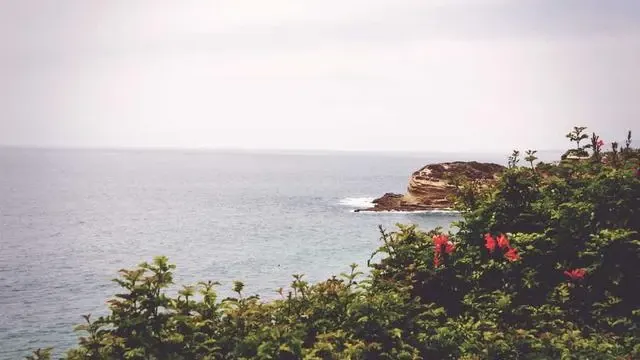 자주 묻는 질문 이미지