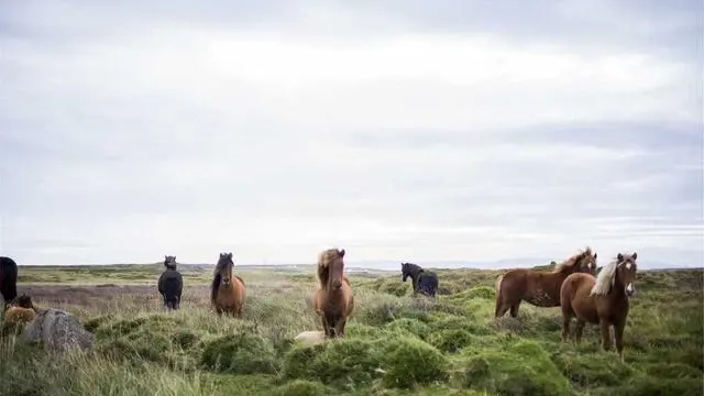 자주 묻는 질문으로 보는 청소년특별지원 바로 알기 이미지