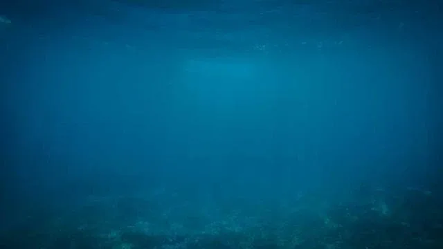 충주 일수 사업자대출 개인돈, 이용 전 꼭 살펴야 할 점 이미지