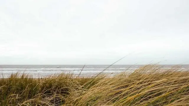 저신용자비상금대출 신청 시 유의할 점 이미지