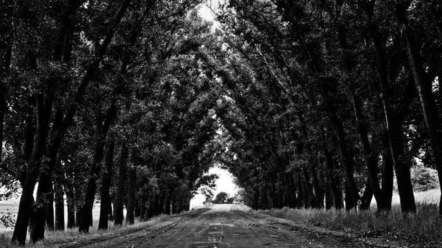 무직자, 프리랜서, 개인사업자가 저신용자비상금대출 받는 방법 이미지