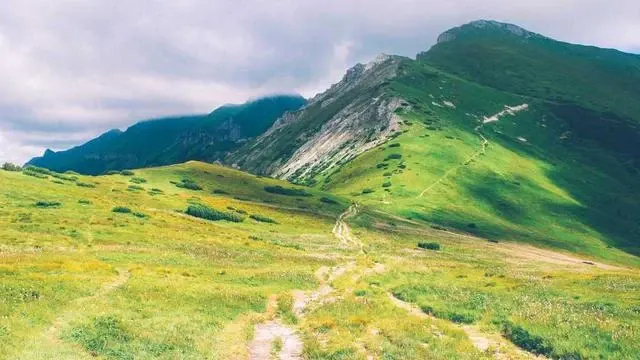 신청 후 진행 과정과 지원금 받는 방법 이미지