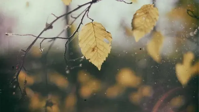 대환대출 승인 기준과 신용등급 영향 이미지