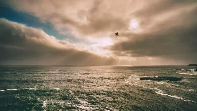 개인 워크아웃 대출 승인 받기 위한 핵심 전략 이미지