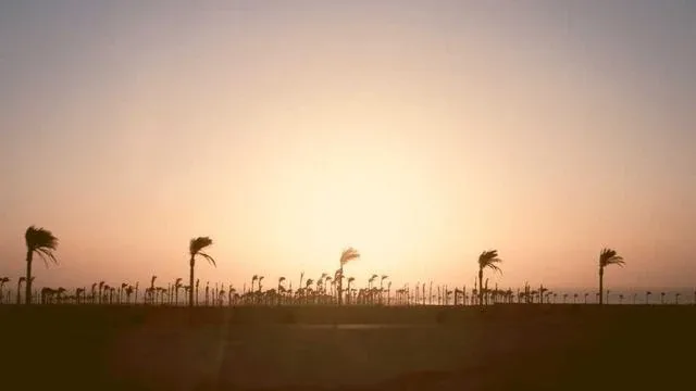 디딤씨앗통장 최신 정책 변화와 앞으로의 전망 이미지