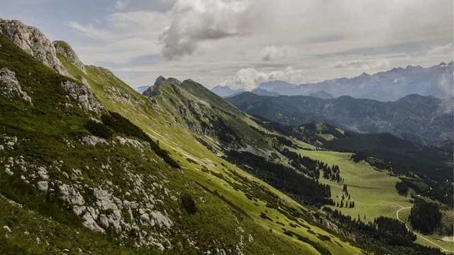 실업급여 중 구직 활동 인정 기준과 주의사항 이미지