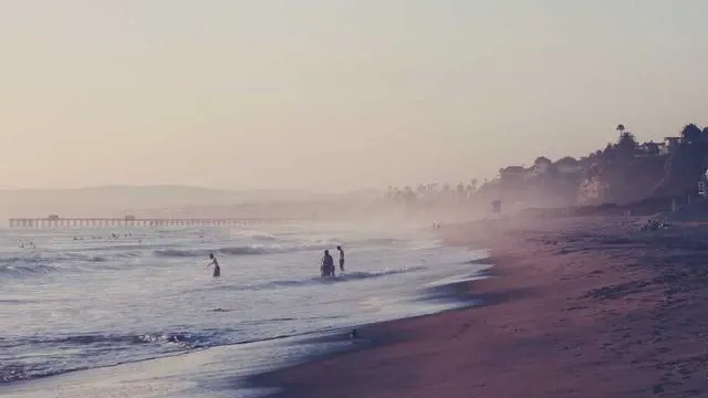 실업급여와 재취업 지원 서비스 활용 방법 이미지
