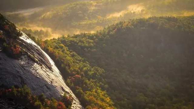 Q&A: 2025 네마녀의날 자주 묻는 질문 이미지