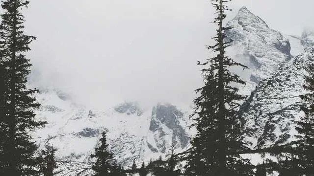 교육급여와 기타 복지 바우처 혜택 이미지