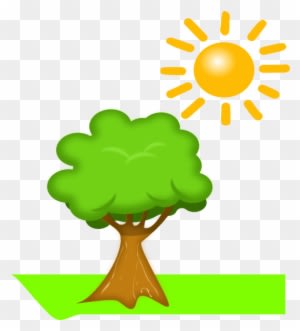 Cartoon Tree And Sun - Free Transparent PNG Clipart Images Download. - Transparent PNG Free Download
