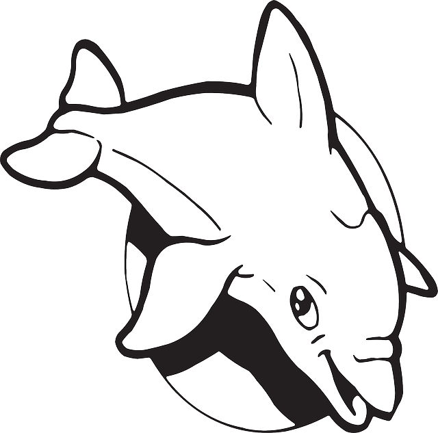 Dolphin Clipart, Suggestions For Dolphin Clipart, Download - Golfinho Sun De Florida Camiseta - Free Transparent PNG Clipart Images Download. - Transparent PNG Free Download