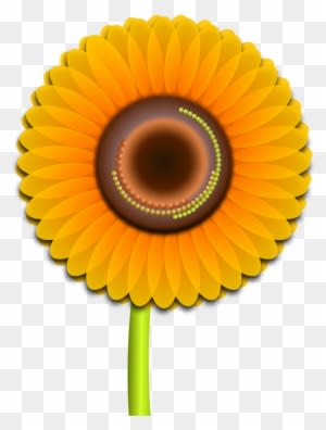 Sun Flower Clipart, Vector Clip Art Online, Royalty - Sun Flower Clip Art Hd - Free Transparent PNG Clipart Images Download. - Transparent PNG Free Download