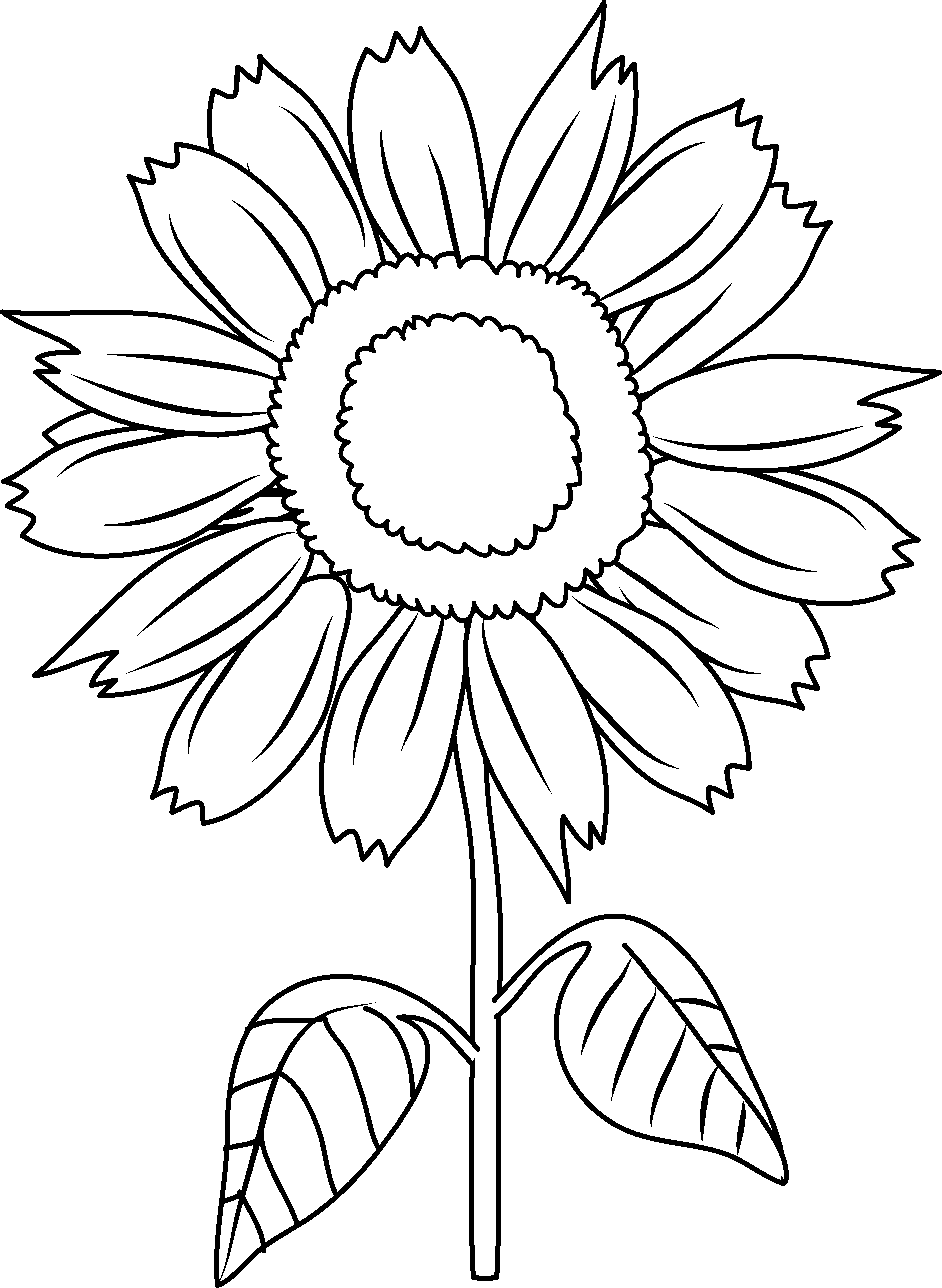 Pretty Sunflower Coloring Page - Sun Flower In Cartoon - Free Transparent PNG Clipart Images Download. - Transparent PNG Free Download