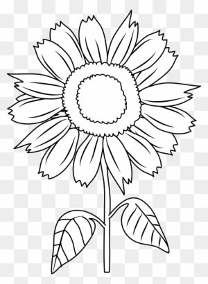 Pretty Sunflower Coloring Page - Sun Flower In Cartoon - Free Transparent PNG Clipart Images Download. - Transparent PNG Free Download