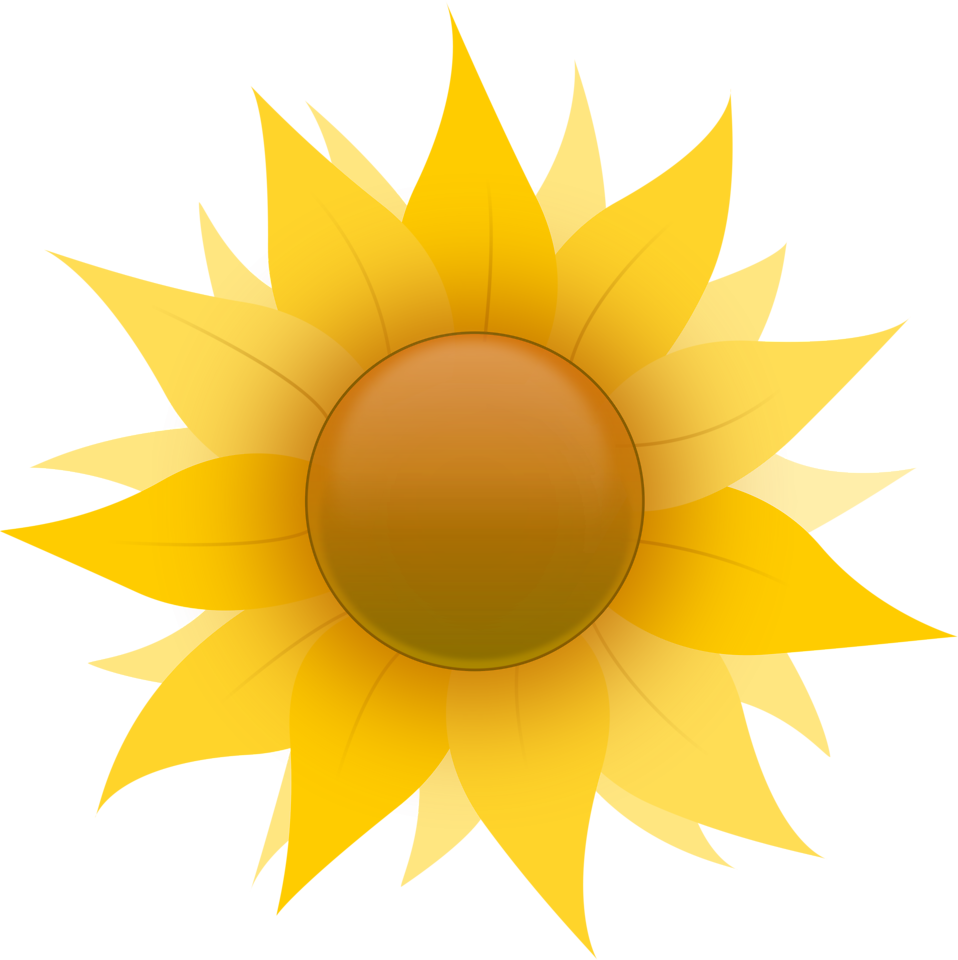 Sunflower - Clip Art Sun Flower Lady - Free Transparent PNG Clipart Images Download. - Transparent PNG Free Download