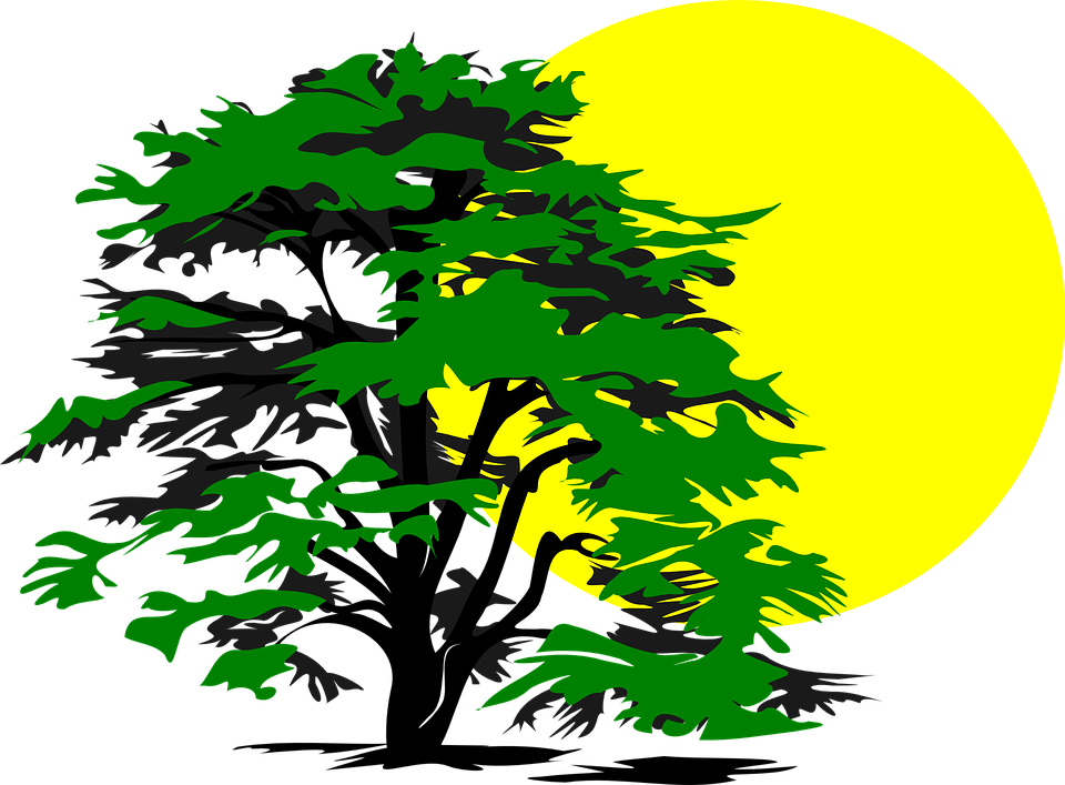 Tree House Clipart 26, - Tree And Sun Clip Art - Free Transparent PNG Clipart Images Download. - Transparent PNG Free Download