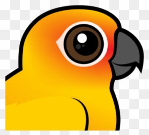 About The Sun Parakeet - Cartoon Sun Conure - Free Transparent PNG Clipart Images Download. - Transparent PNG Free Download