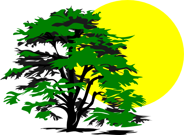 Sunshine Clipart Tree - Tree And Sun Clip Art - Free Transparent PNG Clipart Images Download. - Transparent PNG Free Download