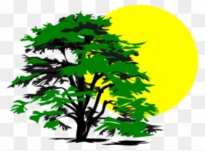 Sunshine Clipart Tree - Tree And Sun Clip Art - Free Transparent PNG Clipart Images Download. - Transparent PNG Free Download